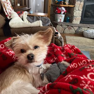 Meet your Posher, Karen